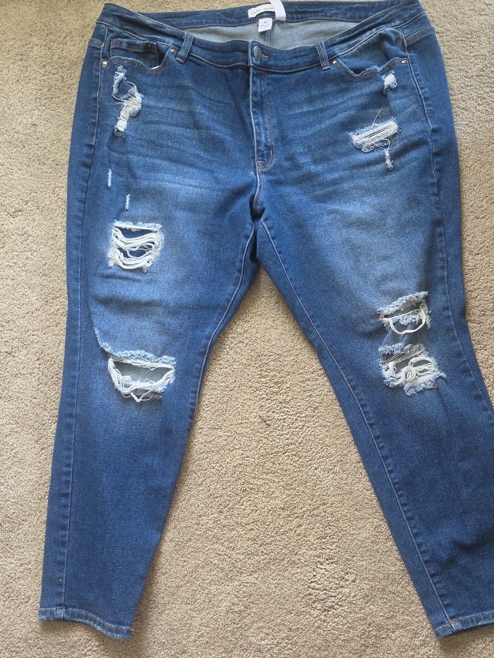 Lane Bryant Distressed Blue Skinny Jeans